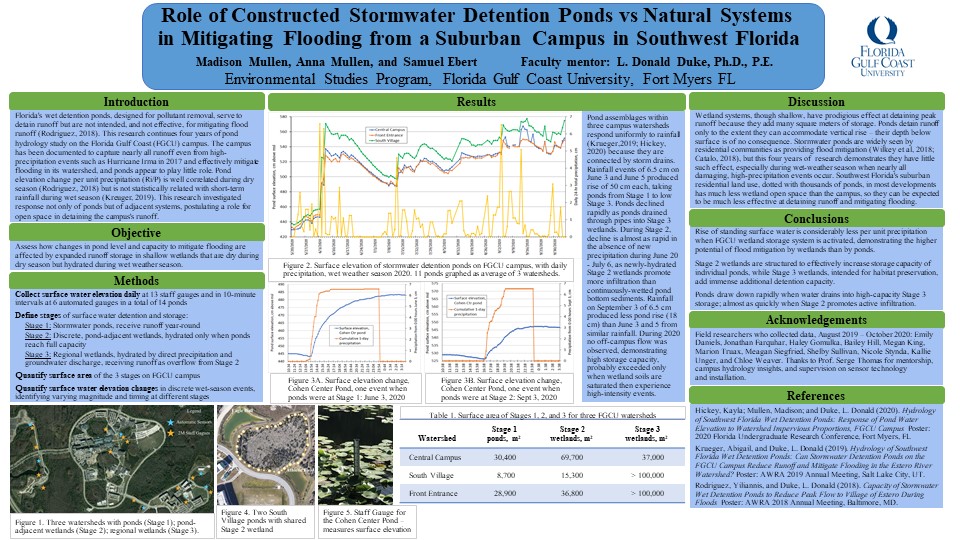 Role of Constructed Stormwater Detention Ponds vs Natural Systems in ...