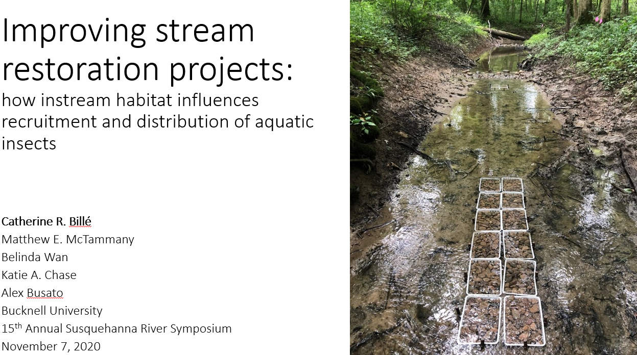 Improving Stream Restoration Projects: How Instream Habitat Influences ...